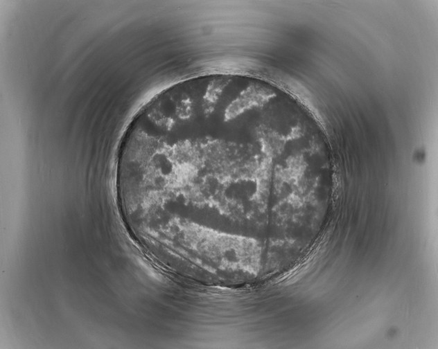 X0000098231035200805221706