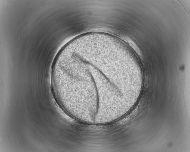 X0000098231036200805221706