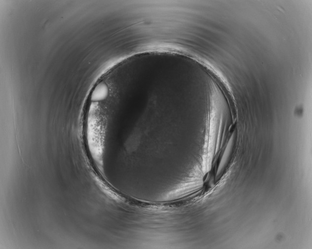 X0000098231037200805221706