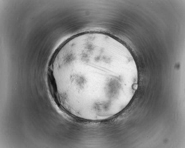 X0000098231038200805221706