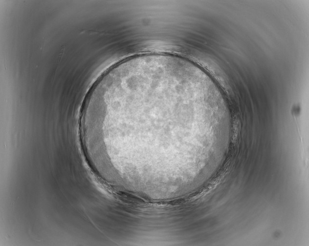 X0000098231039200805221706