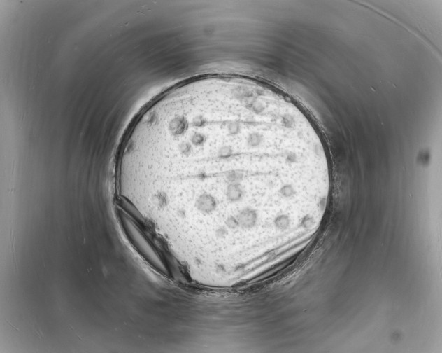 X0000098231040200805221706