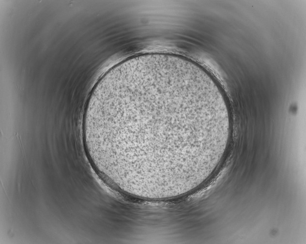 X0000098231041200805221706