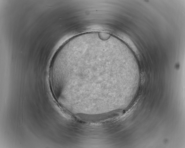 X0000098231043200805221706