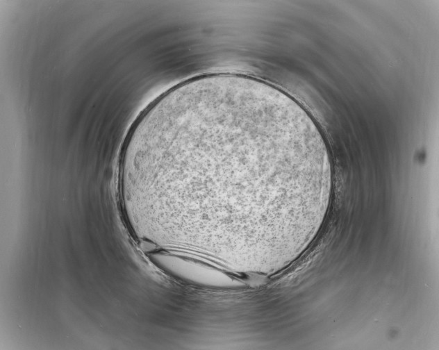 X0000098231044200805221706