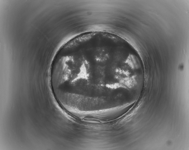 X0000098231045200805221706