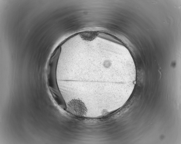 X0000098231046200805221706