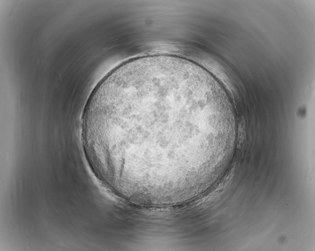 X0000098231047200805221706