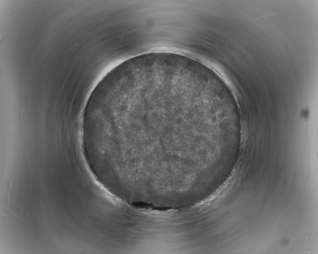 X0000098231048200805221706