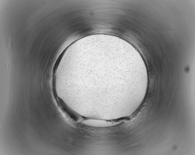 X0000098231050200805221706