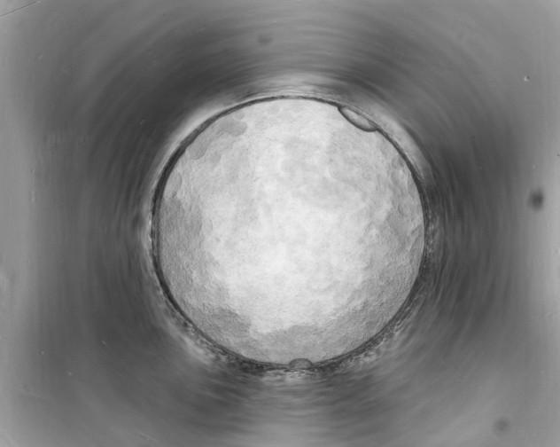 X0000098231051200805221706