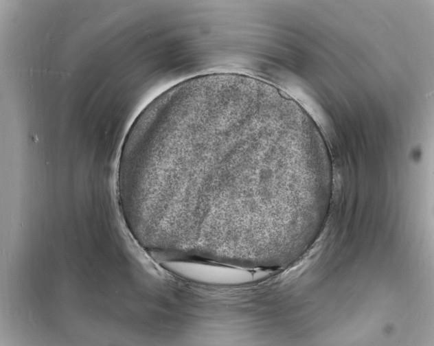 X0000098231052200805221706