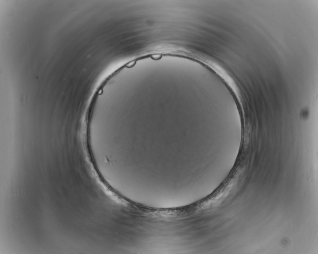 X0000098231053200805221706