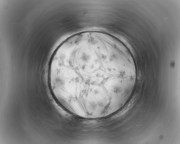 X0000098231054200805221706