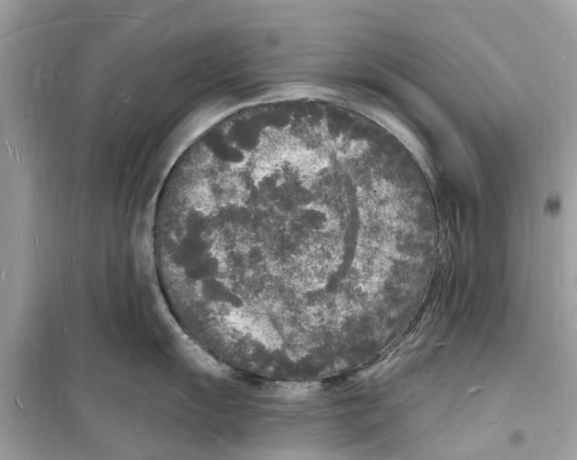 X0000098231055200805221706