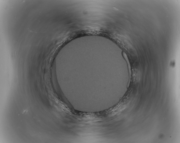 X0000098231057200805221706