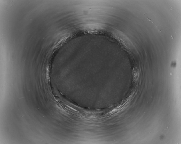 X0000098231060200805221706