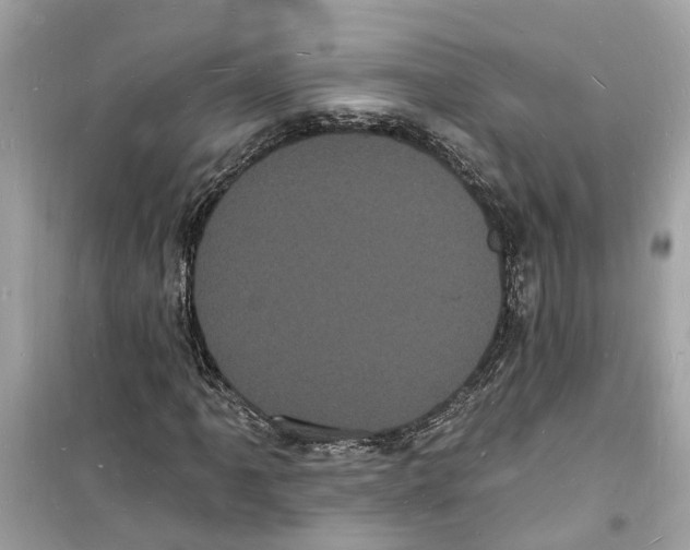 X0000098231061200805221706