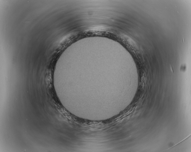 X0000098231062200805221706