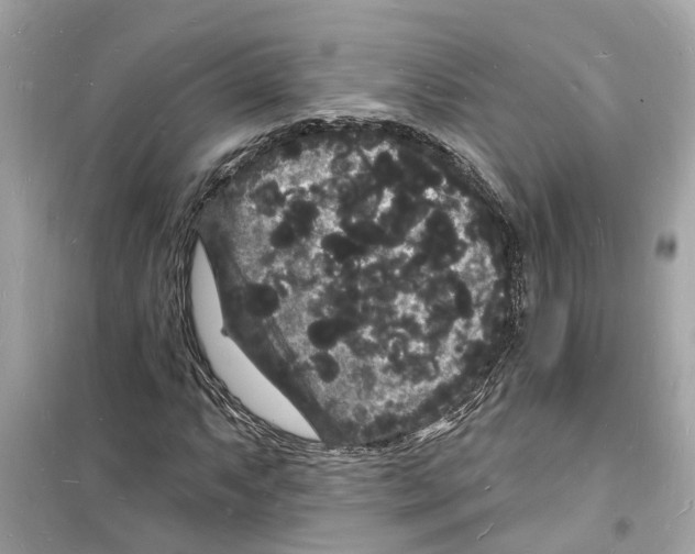 X0000098231063200805221706