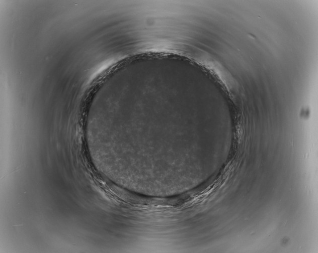 X0000098231064200805221706