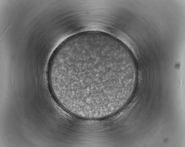 X0000098231068200805221706