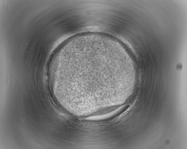 X0000098231070200805221706