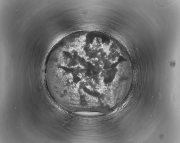 X0000098231071200805221706