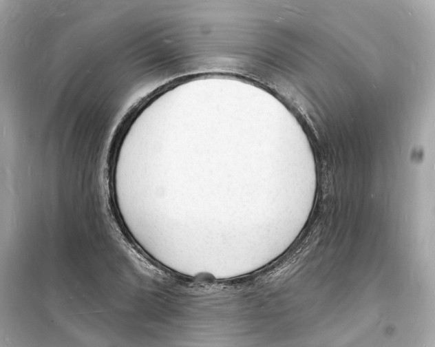 X0000098231072200805221706