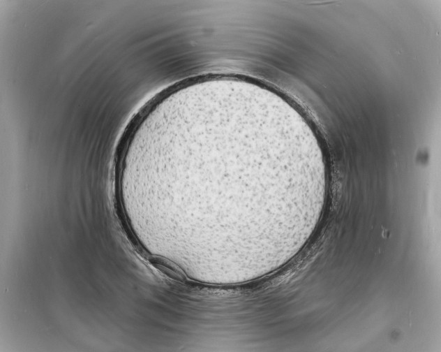 X0000098231076200805221706