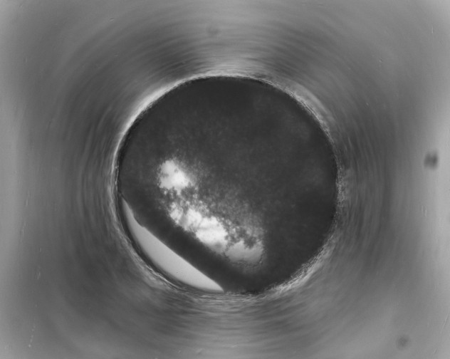 X0000098231077200805221706