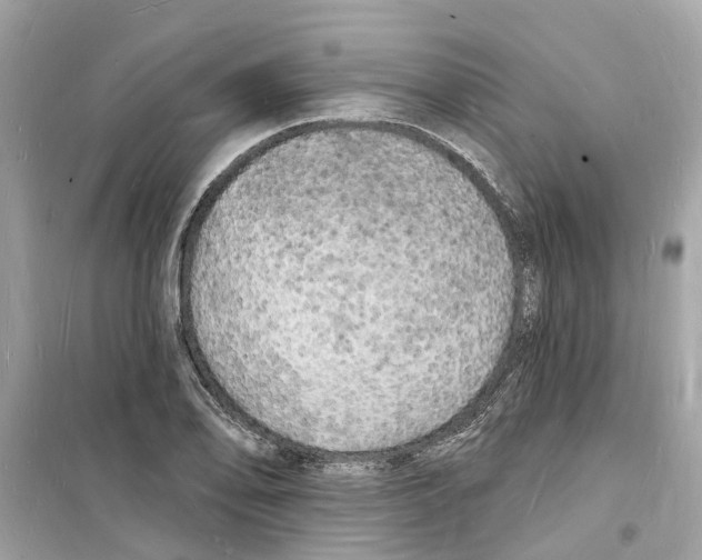 X0000098231078200805221706