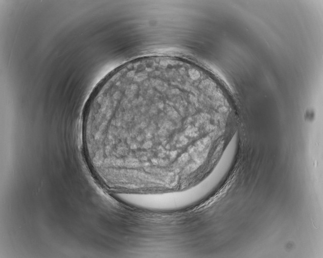 X0000098231079200805221706