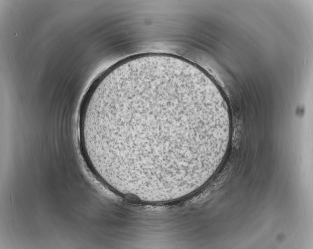 X0000098231080200805221706