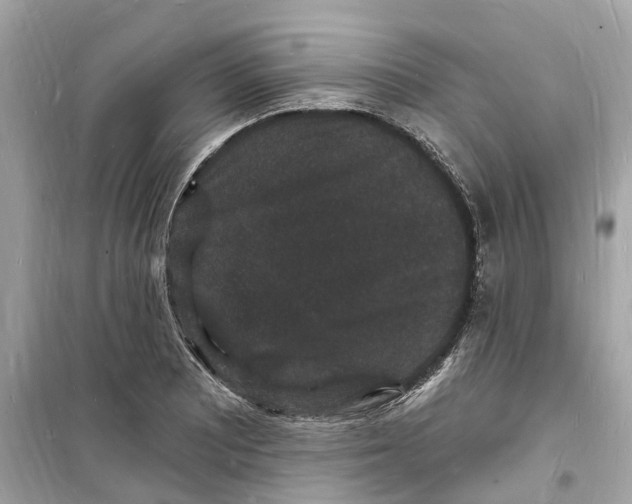 X0000098231081200805221706