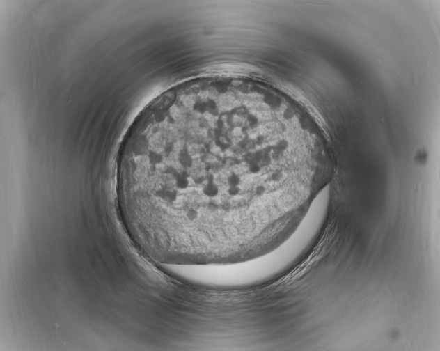 X0000098231083200805221706