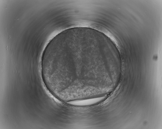 X0000098231088200805221705