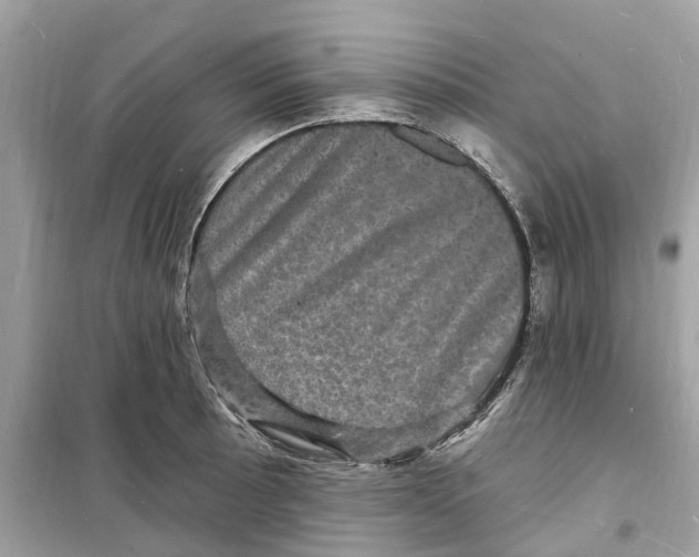 X0000098231089200805221705