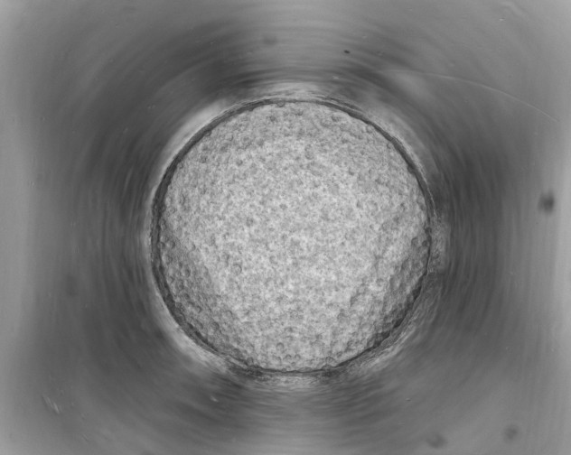 X0000098231090200805221705