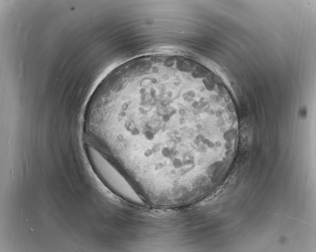 X0000098231091200805221705