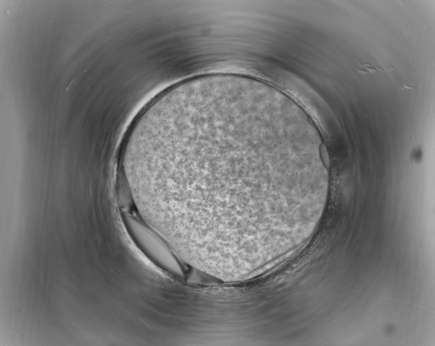 X0000098231092200805221705