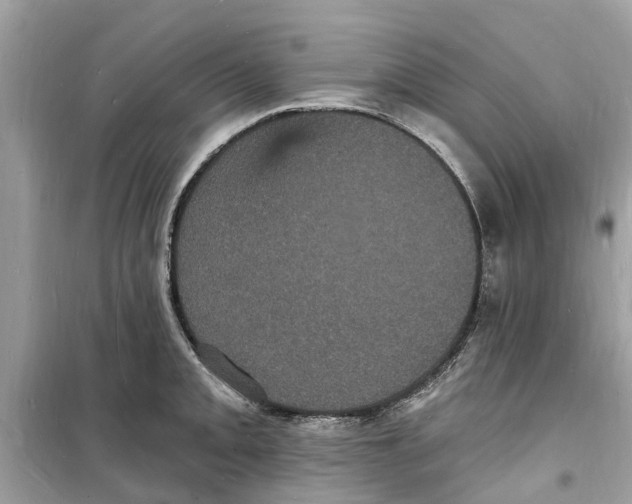 X0000098231093200805221705