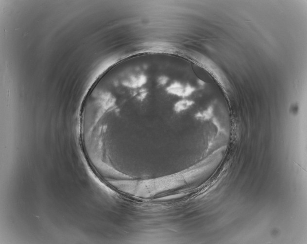 X0000098231095200805221705