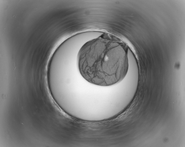 X0000098231096200805221705