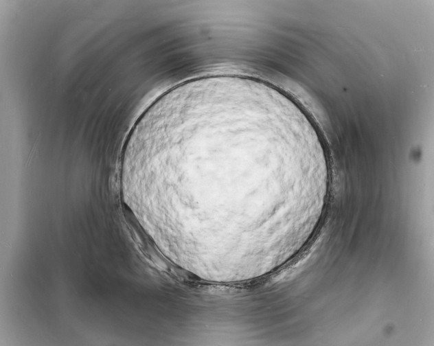 X0000098231097200805221705