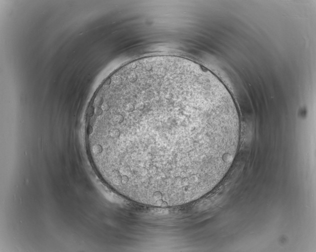 X0000098231098200805221705