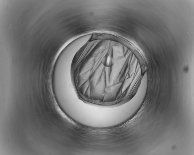 X0000098231100200805221705