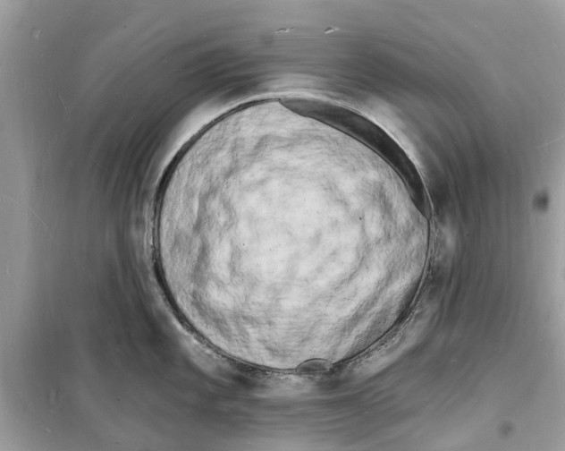 X0000098231101200805221705