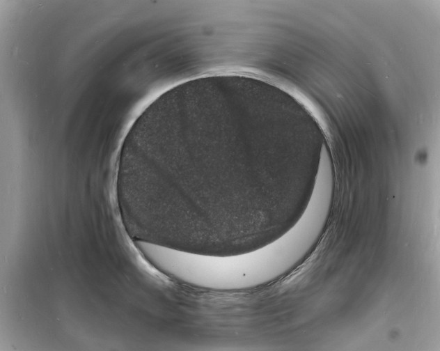 X0000098231102200805221705