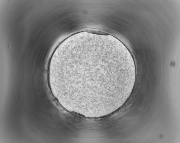 X0000098231104200805221705